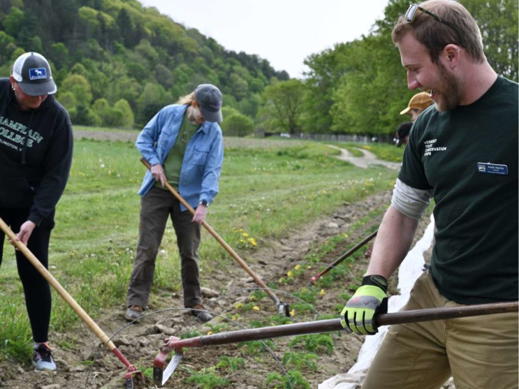 Volunteers at a Farm